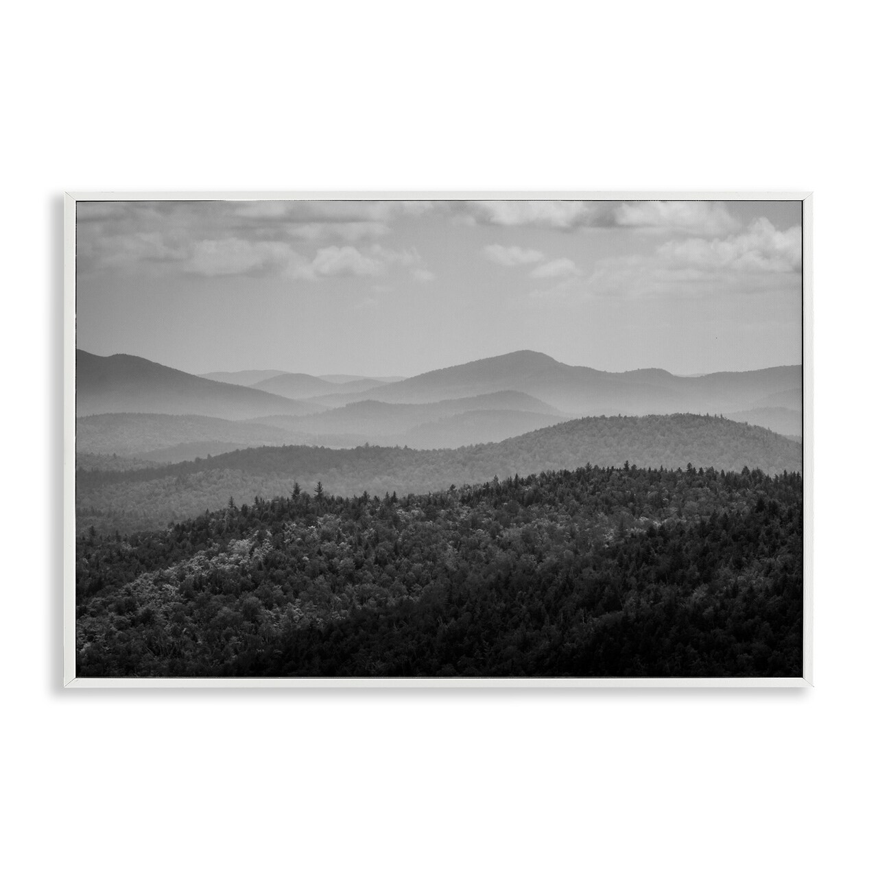 Stupell Industries Misty Adirondack Mountains Framed Giclee, design by James Rodewald